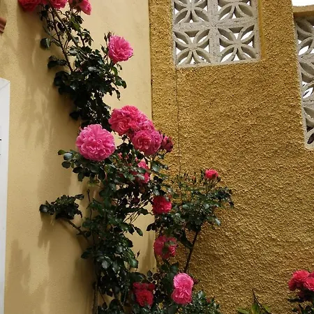 Humboldt Villa *